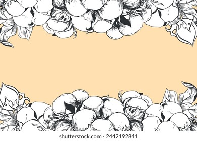 Rectangular horizontal frame with cotton flowers and space for text. Linear sketch of white cotton balls, leaves and branches. Retro ink vector illustration. Design for label, tag, wedding invitation.