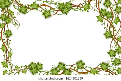 Rectangular jungle frame with vines, lianas and blank space inside, isolated vector flat illustration and background in jungle and tropical style.