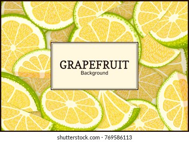 Rectangular label on citrus grapefruit background. Vector card illustration. 