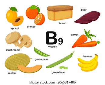 Rectangular poster with food products containing vitamin B9. Folic acid. Medicine, diet, healthy eating, infographics. Products with name.Flat cartoon food illustration isolated on a white background