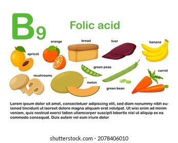 Rectangular poster with food products containing vitamin B9. Folic acid. Medicine, diet, healthy eating, infographics. Products with name.Flat cartoon food illustration isolated on a white background.