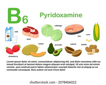 Rechteckiges Plakat mit Lebensmitteln, die Vitamin B6 enthalten. Pyridoxamin. Medizin, Ernährung, gesundes Essen, Infografiken. Produkte mit dem Namen.Flache Cartoon-Lebensmittelgrafik einzeln auf Weiß