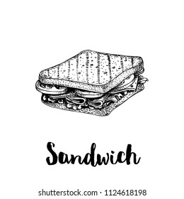 Rectangular sandwich with lettuce, ham, cheese and tomato slices. Hand drawn sketch style. Grilled bread. Fast food drawing for restaurant menu and street food package. Vector illustration.