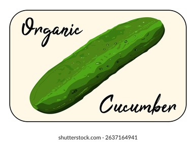Rectangular sticker with a fresh green cucumber illustration and clean background. Bold lettering reads "Organic" in a rustic, eco-friendly font, emphasizing freshness and quality.