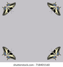 Rectangular template with gray background and four corner images of machaon butterfly. 