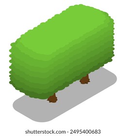rectangular trimmed bush vector illustration