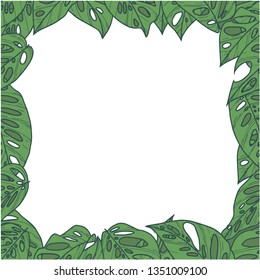 Rectangular vector border with tropical Monstera Adansonii Swiss Cheese Plant leaves and transparent background