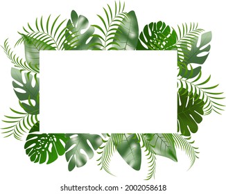rectangular vector frame of green  leaves of beautiful exotic tropical plants . rainforest vegetetion images