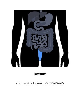 Cartel de colon recto. Intestino grueso en el cuerpo humano. Enfermedad gastrointestinal, diagnóstico y tratamiento en la clínica gastroenterológica. Tracto digestivo, examen de la ilustración del vector intestinal