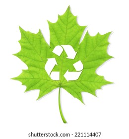 Recycle Green Leaf, Vector Illustration