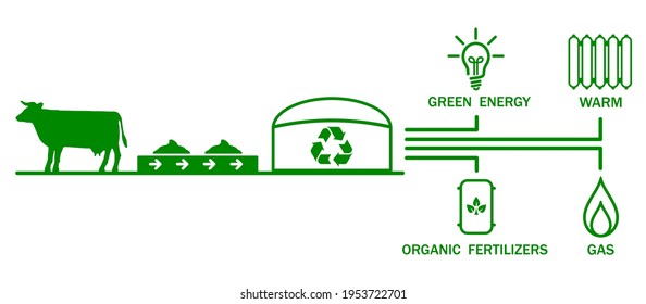 Recycling of animal waste and transformation of waste into biogas, electricity, fertilizers, warm - stock vector