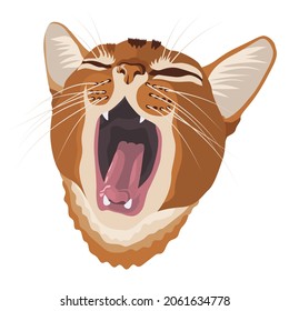  red abyssinian cat yawns, mouth wide open, vector image on a white background
