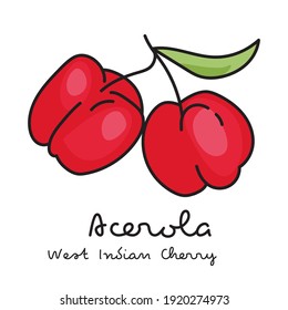 Red Acerola Berries On White Background. West Indian Cherry. Vector Illustration 