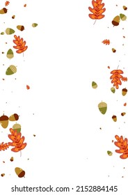 Red Acorn Background White Vector. Leaves Elm Design. Brown Oak. Gradation Set. Gold Herb Realistic.