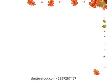 Red Acorn Background White Vector. Herb Simple Texture. Brown Leaves. Sale Illustration. Golden Leaf Drawn.