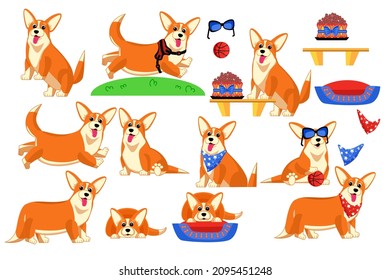 Red active corgi plays and rests in the fresh air.A favorite pet in dog clothes and a harness.A treat for dogs. Colorful cartoon clipart with a dog.Vector illustration isolated on a white background.