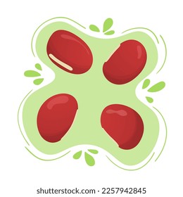 Red Adzuki beans or Japanese bean.
Cute flat design. Vegetarian protein source. Organic legume for healthy food. Nutrition design. World Pulses Day. Cultivating pulses.