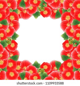 Red Alcea Rosea Border - hollyhocks, Aoi in the mallow family Malvaceae. isolated on White Background. Vector Illustration.