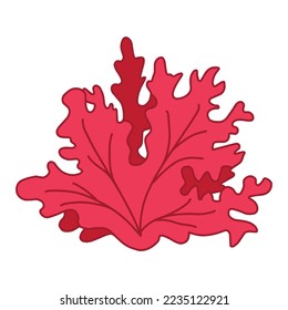 red algae, Seaweed silhouette vector symbol icon design. Beautiful illustration isolated on white background