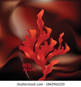 Red Algae, Seaweed Vector Illustration