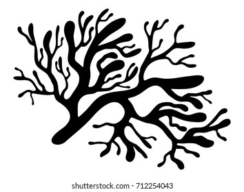 red algae silhouette vector symbol icon design. Beautiful illustration isolated on white background