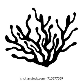 red algae silhouette vector symbol icon design. Beautiful illustration isolated on white background