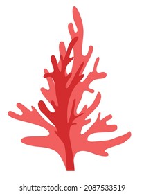 Red Algae in two colors Isolated for design, useful aquatic plants