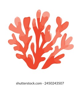 Red algae in watercolor. Hand drawn botanical vector illustration.