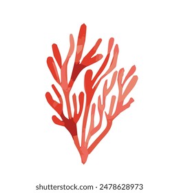 Red algae in watercolor. Hand drawn botanical vector illustration.