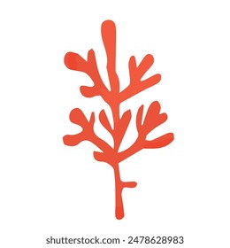 Red algae in watercolor. Hand drawn botanical vector illustration.