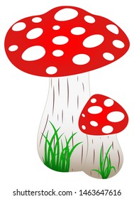 Red Amanita Fly Agaric Mushroom and green grass as vector 
Mushroom isolated white background 
Exact shape design red toadstool and grass 