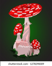 red amanita mushroom fungus toadstool fly agaric