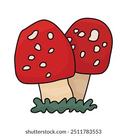 Red amanita toadstool mushrooms pair. Vector isolated doodle hand drawn fly agaric illustration on a white background