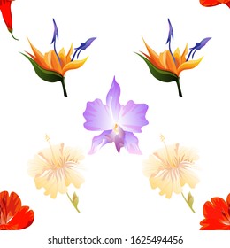 Red Amaryllis. Orange Strelitzia. Yellow hibiscus. Purple Orchid. Vector illustration. Seamless background pattern. Floral botanical flower. Wild leaf wildflower isolated. Exotic tropical hawaiian.