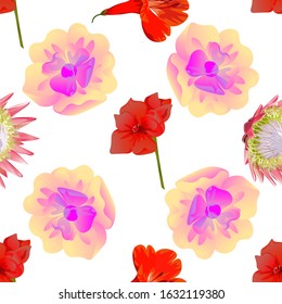 Red Amaryllis. Pink Protea. Yellow Magnolia. Vector illustration. Seamless background pattern. Floral botanical flower. Wild leaf wildflower isolated. Exotic tropical hawaiian jungle. Fabric.
