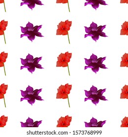 Red Amaryllis. Purple Clematis. Vector illustration. Seamless background pattern. Floral botanical flower. Wild leaf wildflower isolated. Exotic tropical hawaiian jungle. Fabric wallpaper print.