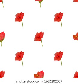 Red Amaryllis. Vector illustration. Seamless background pattern. Floral botanical flower. Wild leaf wildflower isolated. Exotic tropical hawaiian jungle. Fabric wallpaper print texture.
