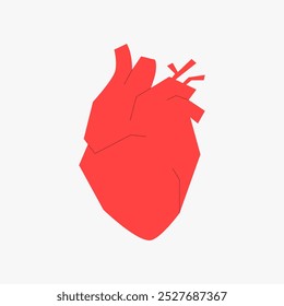 Red anatomical heart in flat vector illustration symbolizing health, cardiology, and medical care, isolated on white background.