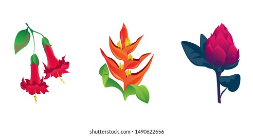 Red Angel Trumpet. Orange Heliconia. Red Vriesea. Vector illustration. Isolated illustration element. Floral botanical flower. Wild leaf wildflower isolated. Exotic tropical hawaiian jungle.