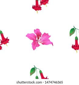 Red Angel Trumpet. Pink Bauhinia Purpurea. Vector illustration. Seamless background pattern. Floral botanical flower. Wild leaf wildflower isolated. Exotic tropical hawaiian jungle. Fabric wallpaper.