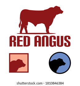 Red Angus Big Bull Logotype