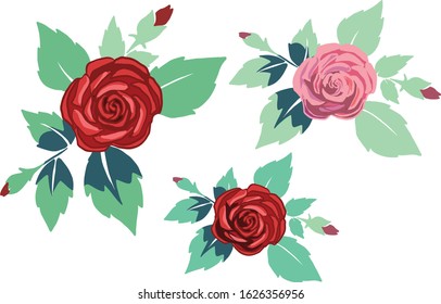 Red ans pink rose with leaf on white background