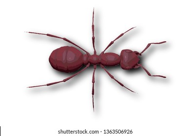 red ant against white background, abstract vector art illustration