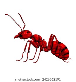 Red ant black strips isolated on white background