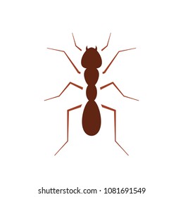 Icono de hormiga roja. Clipart de control de plagas aislado sobre fondo blanco