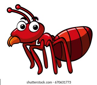 Red ant on white background illustration