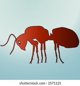 red ant vector