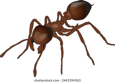 red ant in vector illustration
