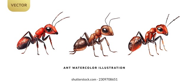 Red ant watercolor isolated on white background. Kids insect animal cartoon vector illustration