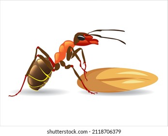 Red ants are carrying rice grains..vector illustration.